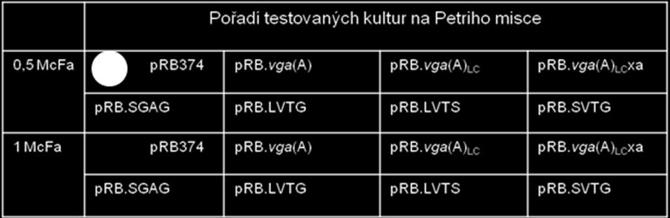 uvedeny v Tab.