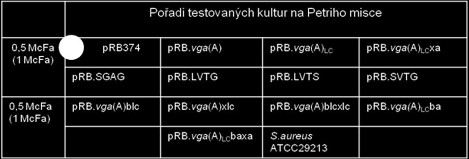 (2006). Ke kontrole stanovení MIC pro pristinamycin IIA byl ještě přidán citlivý kontrolní kmen S. aureus ATCC29213.