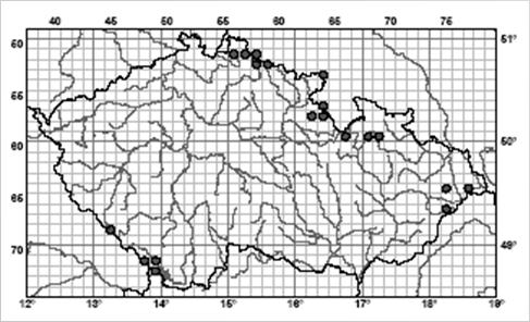 Rozšíření: Vzácně v oblastech s výskytem bučin Šumava, Jizerské hory, Krkonoše, Hrubý Jeseník, Beskydy. L5.