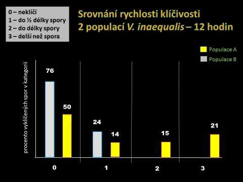 počet spor ve vzorku, které nevyklíčily, počet spor, které vyklíčily, ale jejich klíční vlákno nenarostlo do délky přesahující polovinu délky konidie, pak počet spor, které vyklíčily a jejichž vlákno