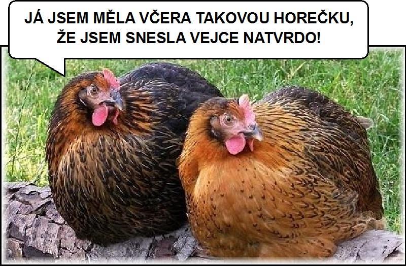 Napsala Viktorie Vacková, VII. třída Novinář se ptá lidí na ulici, jestli se v autobusu chovají zdvořile k ženám. Tak například vy, pane, jezdíte autobusem? Ano, skoro každý den.