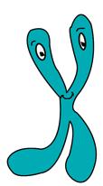 chromosome Meiotický tah Rychlá evoluce distorterů na