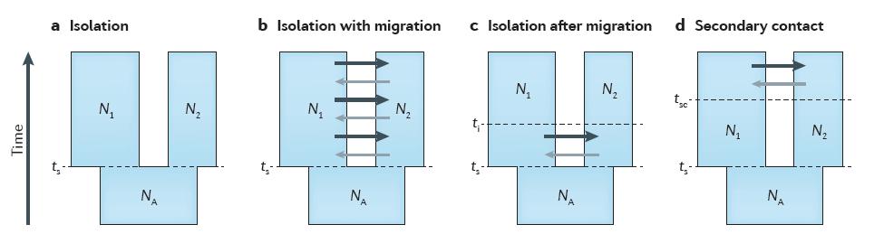 Approximate