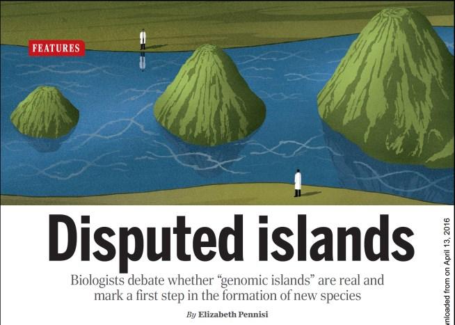 Genomické ostrovy se zvýšenou diferenciací (F ST ) d XY higher in islands D XY lower in islands D XY, absolue