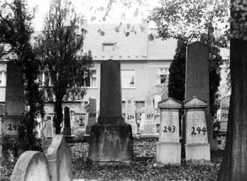 Název výstavy je citátem z dobového tisku a vyjadřuje naplnění dlouholeté touhy, euforii českého a slovenského národa, kdy oba dosáhly samostatného státu.