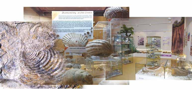 Přijměte tedy pozvání k prohlídce nové muzejní expozice, protože každý kámen má svůj příběh.