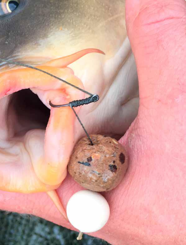 PEAN 12,5 cm ZAHNUTÝ Nejkvalitnější pean z nerezové oceli na trhu. Na odstraňování háčků všech druhů ryb. PEAN 12,5 cm S HÁČKEM Nejkvalitnější pean z nerezové oceli na trhu s háčkem KOCHR.