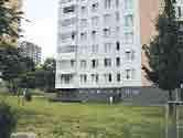 Tel:731125525 RD Ostopovice 6+1 po rek, ul Branky, garáž,