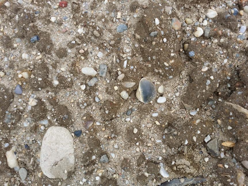 14) Jan Písek: Stručná fyzicko-geografická charakteristika Hrubého Jeseníku se zřetelem k fytogeografickým poměrům 15) Zdeněk Gába: Geologie Jesenicka 16) Zdeněk Gába Jiří Zimák: Dala-porfyr s