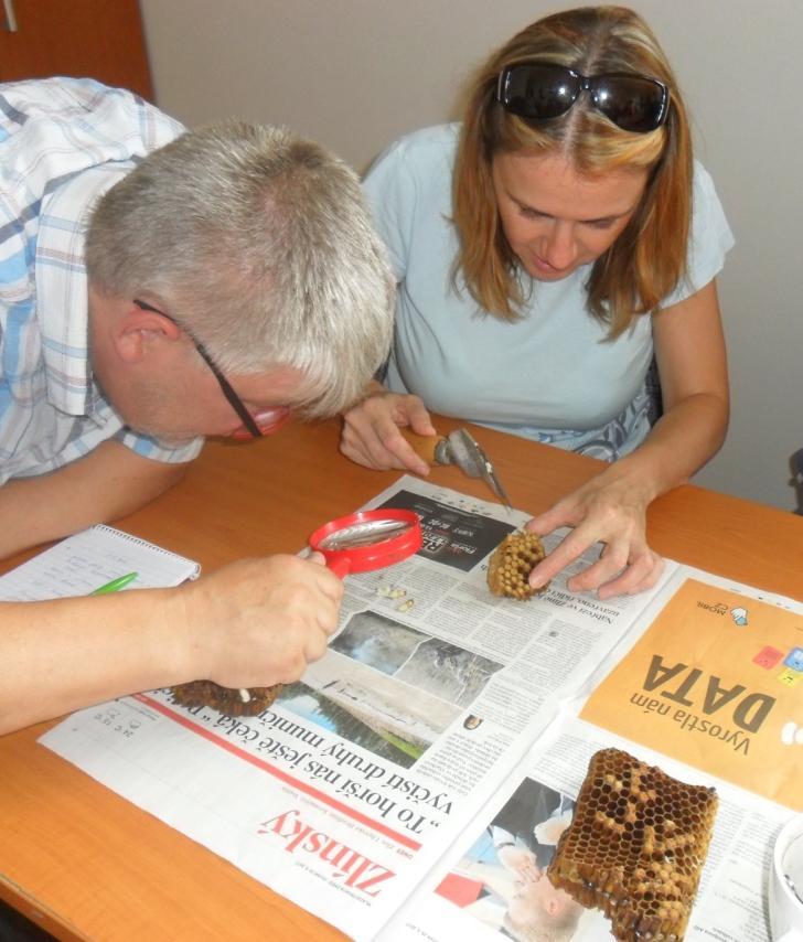 Ludmila Hlavová a Václav Srkala. Maximálně bylo možné přidělit 100 bodů, ale u pastovaného 125 bodů.