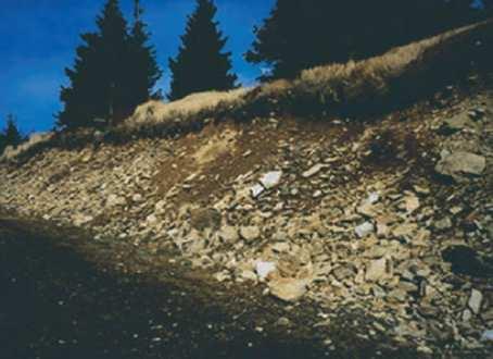 Larix decidua vhodné příčné odvodnění (ochrana proti erozi) - trvale udržovat proti zanesení a ztrátě funkčnosti svodnic