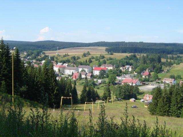 okraje svodnic (Avenella, Deschampsia, Calamagrostis) Zatravňování sjezdovek včasné ozelenění, resp.