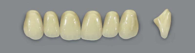 DENTÁLNÍ PRYSKYŘICE A ZUBY MFT MULTI FUNCTIONAL TEETH