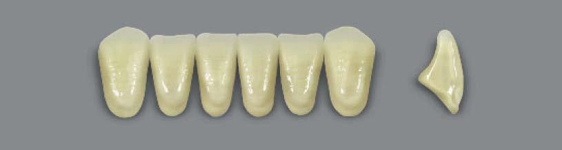PU 29 28,8 PL 29 29,6 O 49 49,2 L 40