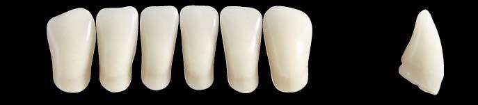 DENTÁLNÍ