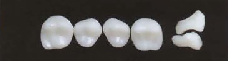 31,5 7,9 * 1/74 29,6 31,0 8,4 7,9 70N 30,2