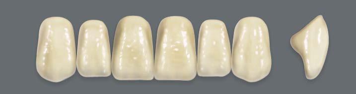 DENTÁLNÍ PRYSKYŘICE A ZUBY Frontální horní trojúhelníkové T VITAPAN PLUS Kompozitní mikroplněné zuy vrstvené tehnikou "dolisování" pro vytvoření homogenní