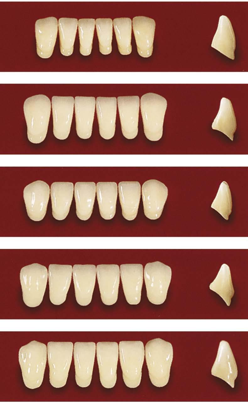 0M1 0M3 ** tké v Bleh odstínu 0M3 Přiližné srovnání odstínů vzorníků Vit Vitpn 3D-Mster 0M1 0M2 0M3 1M1 1M2 2L1.5 2L2.5 2M1 2M2 2M3 2R1.5 2R2.5 3L1.5 3L2.