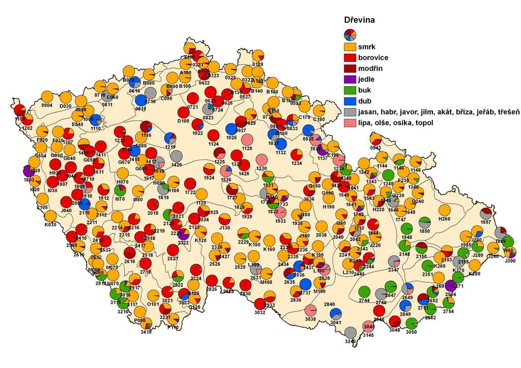 ICP FOREST, FOREST FOCUS,