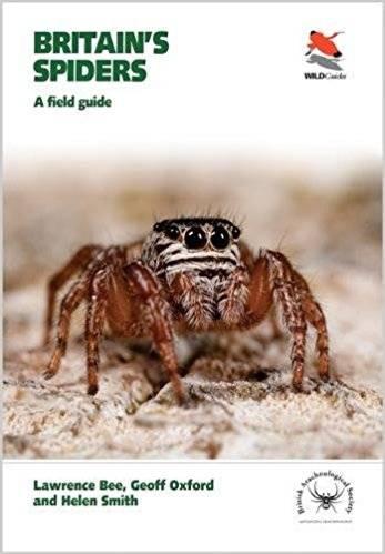 DE AVILA R. S. JR 2017: Flower trap: a controversial interaction between plants and spiders. Newsl. Br. arachnol. Soc. 139: 9 11. HALLEWELL R.