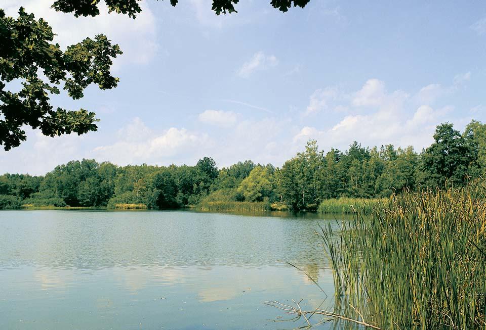 Pardubicko Pfiírodní rezervace Hlubok Rybník Hlubok v chodnû od obce LibáÀ.