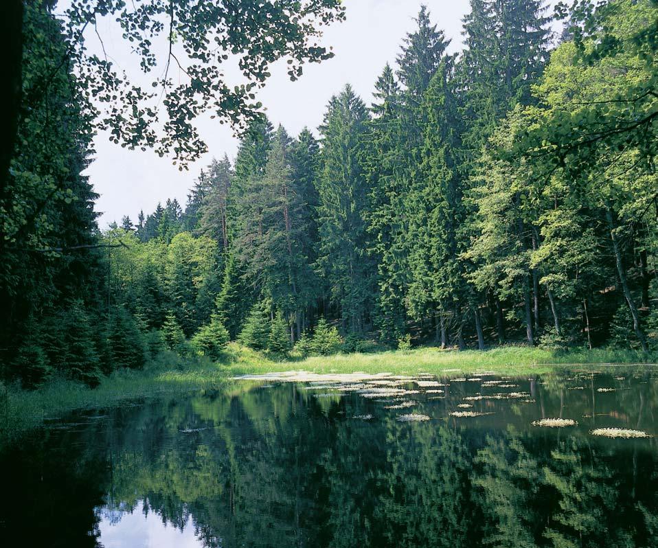 Pardubicko Pfiírodní rezervace 86 CR 6 Ma tale Oblast kvádrov ch pískovcû mezi obcemi Proseã, Budislav a Jaro ov.