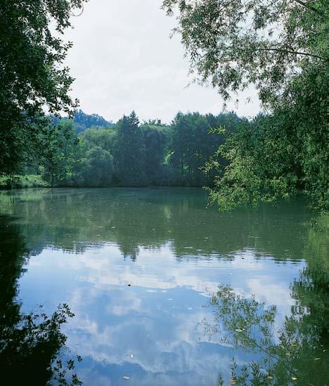 Okres Chrudim Pfiírodní park HefimanÛv Mûstec Pfiírodní park byl zfiízen v roce 996 na ochranu parkové a lesoparkové plochy (34 ha) kolem Hefimanova Mûstce.