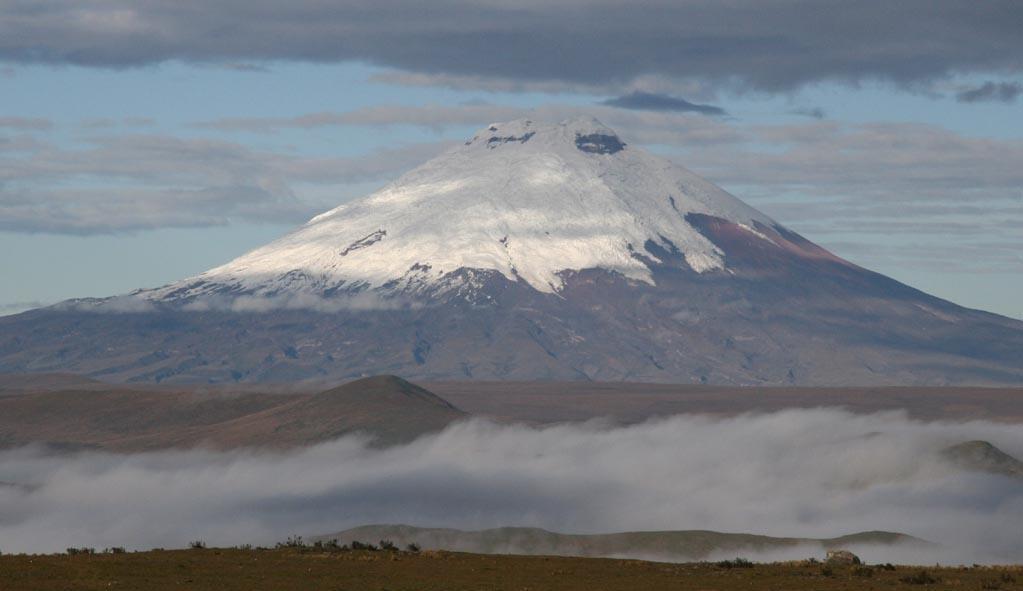 org Temperatures at climatic high elevation treelines for