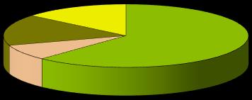 Zastoupení jednotlivých druhů příjmů na celkových příjmech v roce 2017 v % Graf č.