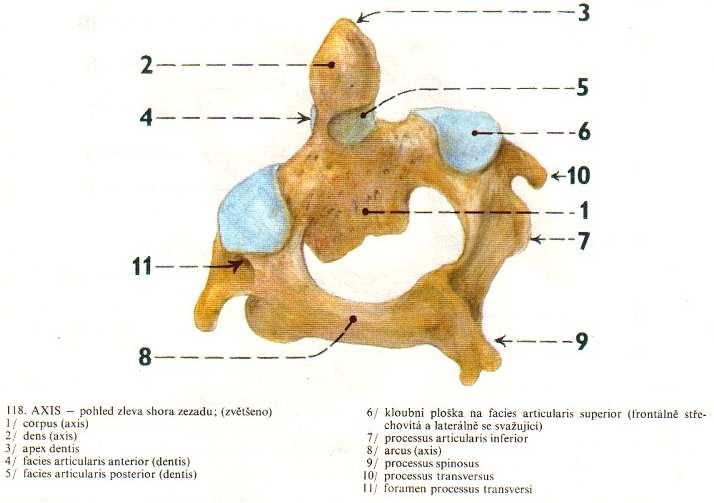 Obrázek 3.