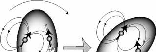 Dipól-dipólová relaxace Přímá interakce mezi dvěma magnetickými dipóly Volně přes prostor (dosah cca 0.5 nm) není ovlivněna chemickými vazbami, na rozdíl od nepřímé dipól-dipólové interakce.