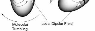5 nm dipól - dipólová interakce mezi magnetickými dipóly Dipól-dipólová relaxace (pokračování) Příklad: jádra a v rigidní molekule, magnetický spin se nachází v magnetickém poli spinu (a opačně).