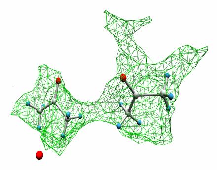 Tvar kavity byl definován body, které jsou vzdáleny minimálně 1Å od VdW sféry nejbližho atomu v cyklosporinovém skeletu.