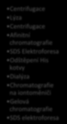 Odštěpení His kotvy Dialýza Chromatografie na iontoměniči Gelová chromatografie SDS