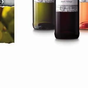 66,23-80,14 Rosé 58,60 66,23-80,14 Muškát Moravský