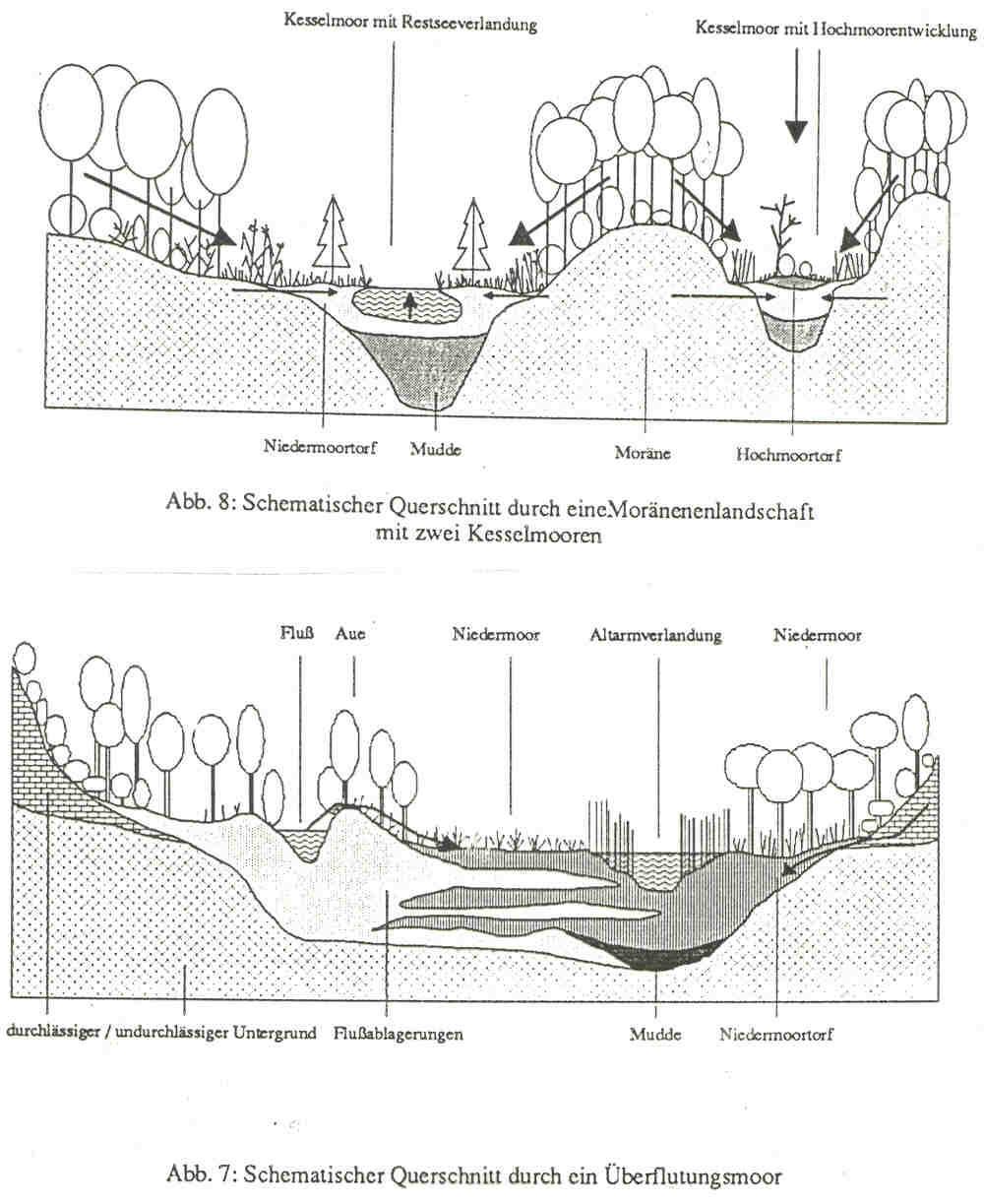 ČLENĚNÍ RAŠELINIŠŤ Hydrologické členění (Steiner 1993)