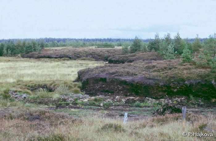 odtěžen bult (hummock) lagg mire margin