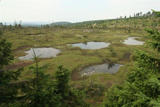 šlenk jezírko (pool, blank)