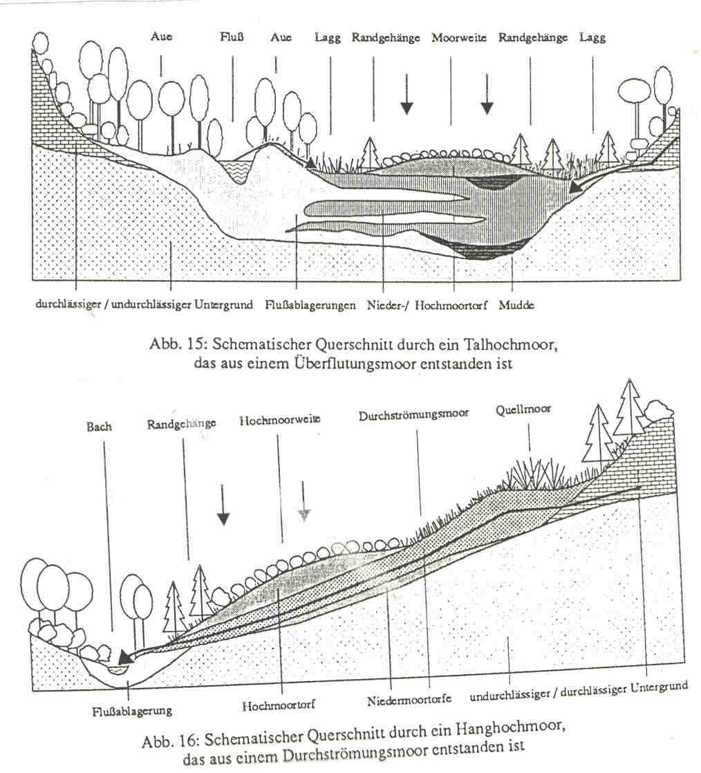 ČLENĚNÍ RAŠELINIŠŤ Hydrologické členění (Steiner 1993) RAŠELINIŠTĚ OMBROGENNÍ