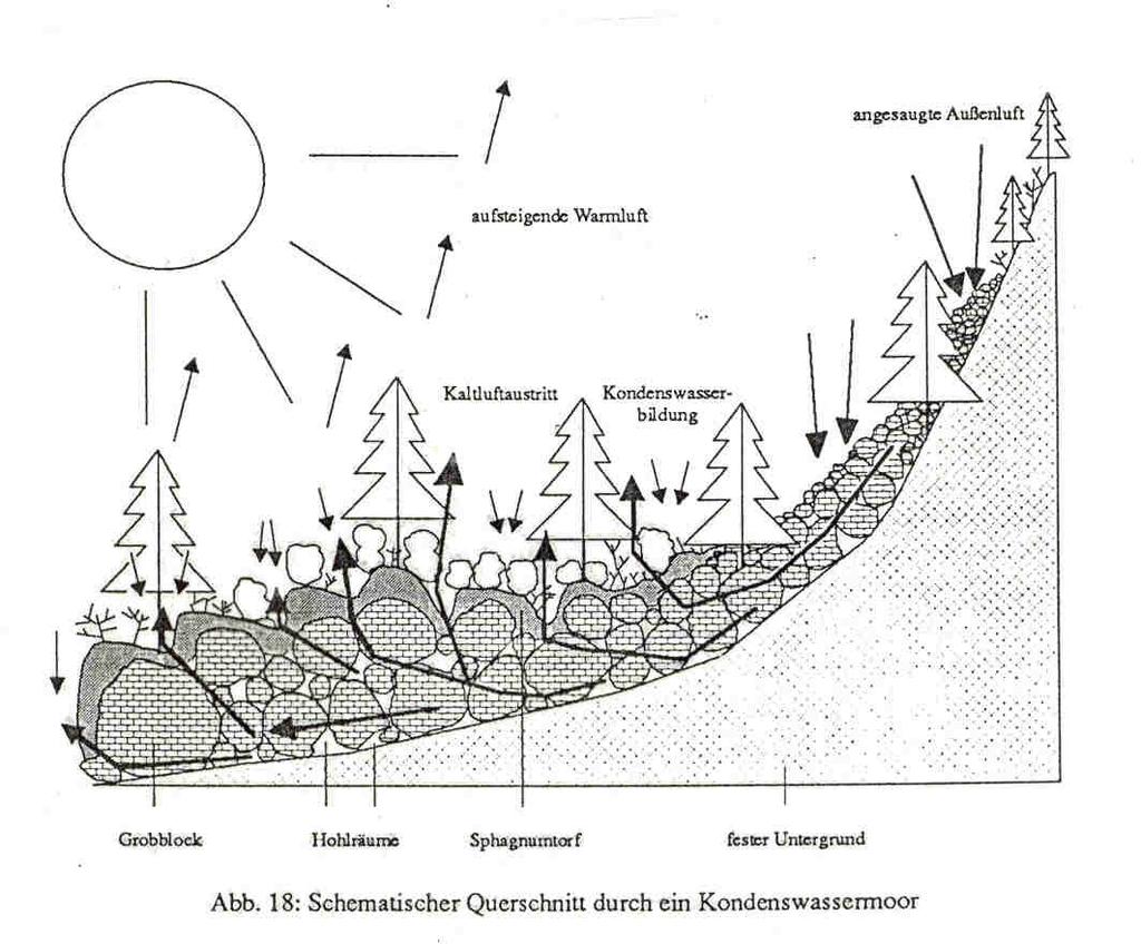 ČLENĚNÍ RAŠELINIŠŤ Hydrologické členění