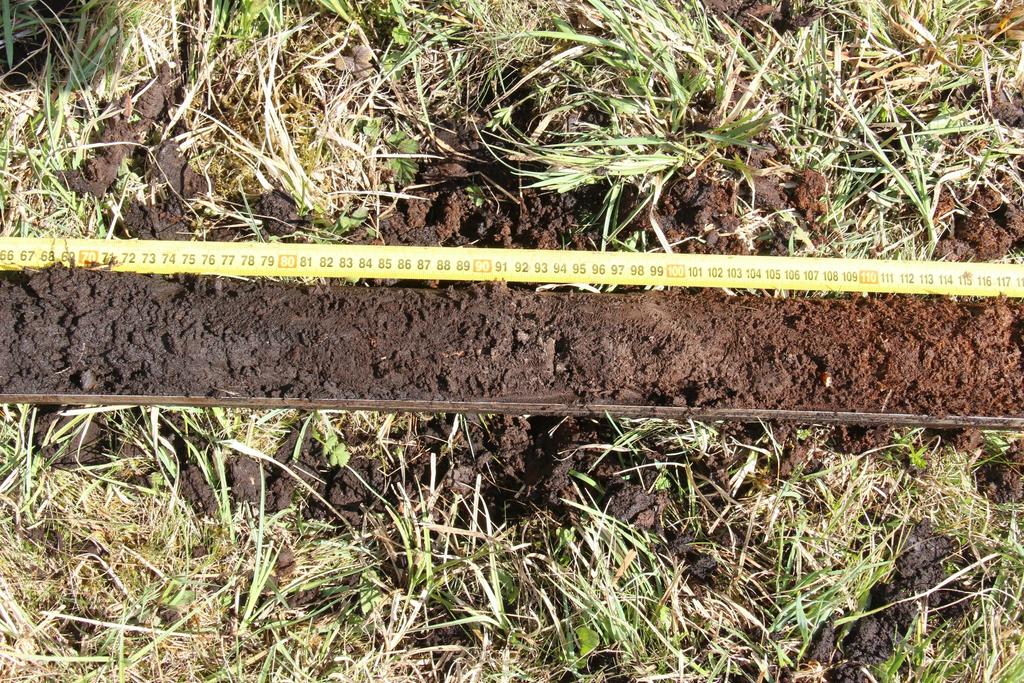 Paleoekologie (paleobotanika) může říct mnohé i o dynamice vlastních rašelinišť.
