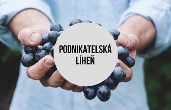 Sdružení EDUKOL se svou Podnikatelskou líhní pomáhá lidem na území MAS Moravská cesta se zahájením podnikání V rámci Evropského projektu podpořeného z dotačního programu MAS můžeme poskytovat