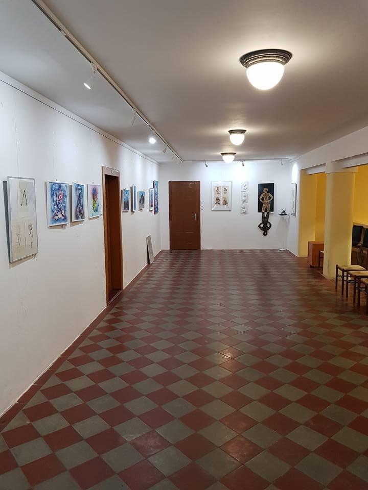 Vernisáží významného místního umělce Jana Ryndy byla v sokolovně zahájena činnost Galerie Balkon - GABA.