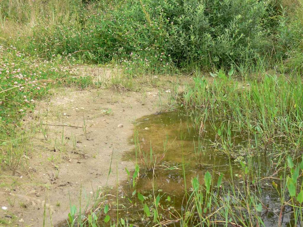 Podporujeme