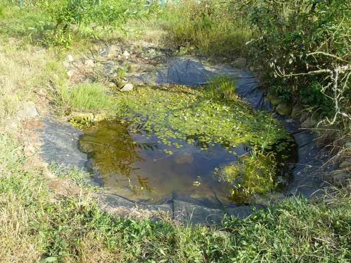Definice drobné vodní plochy - velikost dm2 stovky m2 - účel podpora biodiverzity - bez