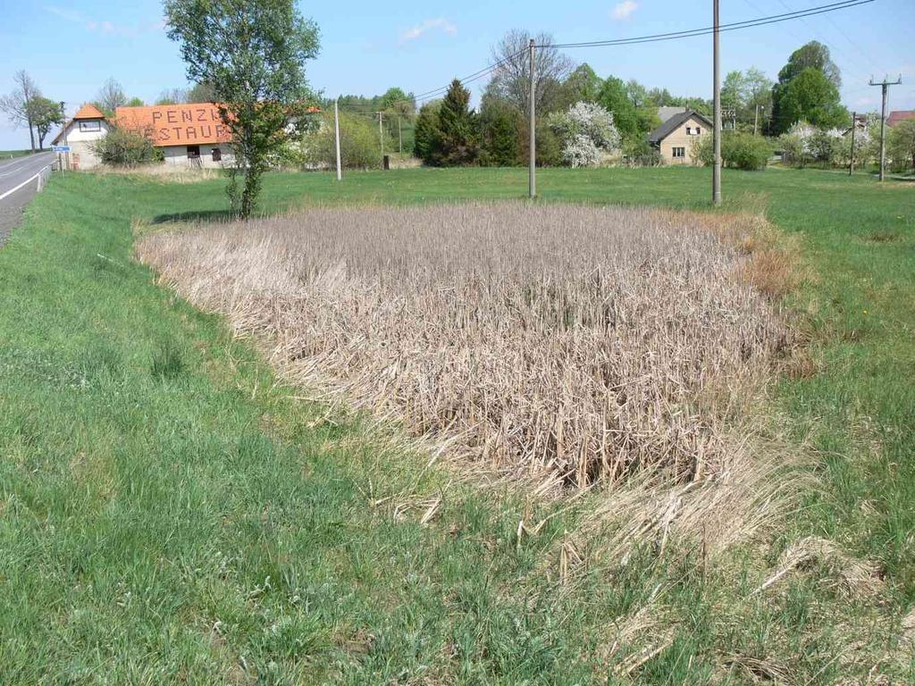 Spíše