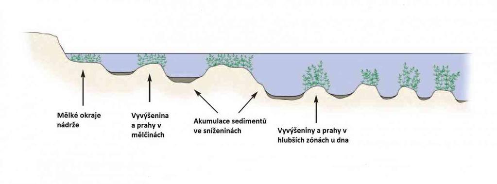 Členité nevyhlazené dno - bohatý mikroreliéf dna s nerovnostmi a zvlněním