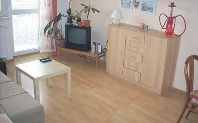 HRUŠOVANY U BRNA Pěkný a prostorný byt DB 3+1 po částečné rekonstrukci, 2NP/4, CP