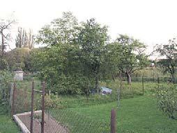6575 m 2, 4 stavební parcely Cena 3590000,-Kč RD 2+kk, 3+1,