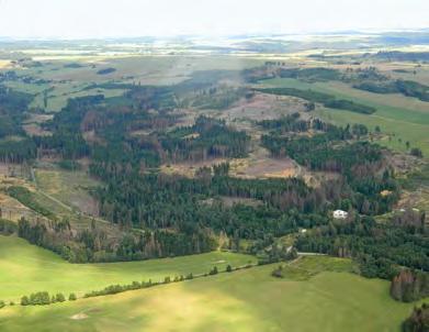 Neznamenal však zlepšení situace, ale další překonání rekordní hodnoty nejvyššího ročního evidovaného objemu kůrovcového dříví a potřebu realizace těžebních činností za hranicemi kapacitních i